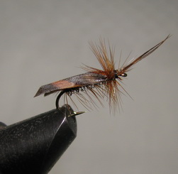���� ����� Dry fly  